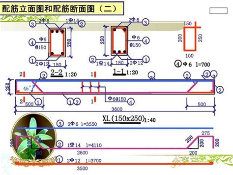 配筋圖怎麼看